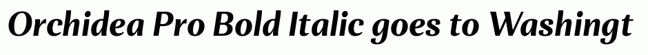 Orchidea Pro Bold Italic