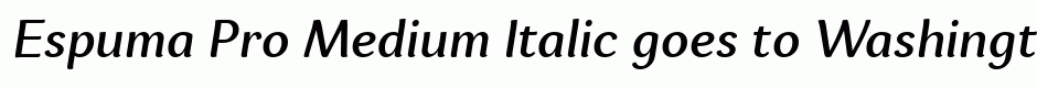 Espuma Pro Medium Italic