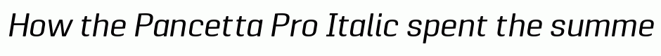 Pancetta Pro Italic