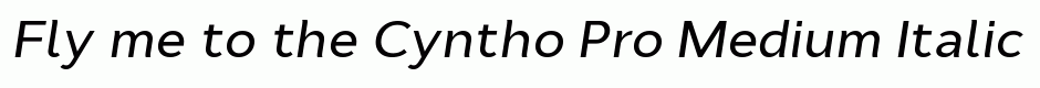 Cyntho Pro Medium Italic