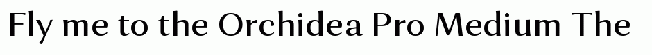 Orchidea Pro Medium