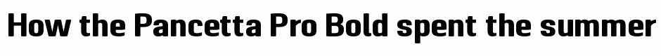 Pancetta Pro Bold