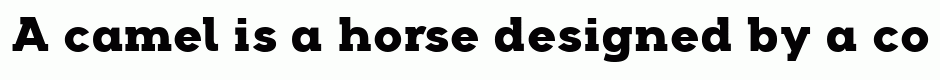 Arkibal Serif Heavy
