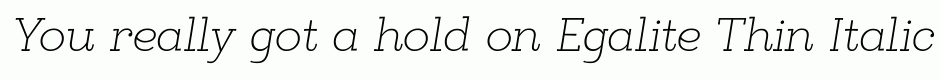 Egalite Thin Italic
