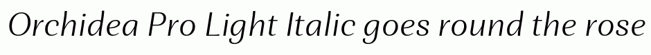 Orchidea Pro Light Italic
