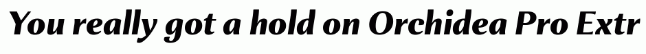 Orchidea Pro ExtraBold Italic