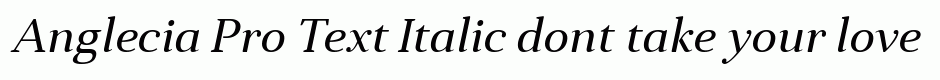 Anglecia Pro Text Italic