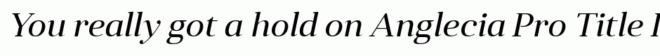 Anglecia Pro Title Italic