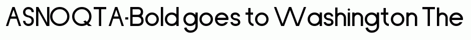 ASNOQTA-Bold