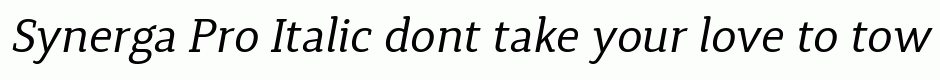 Synerga Pro Italic