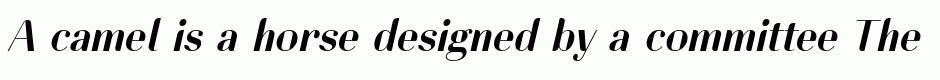 Lynx Italic