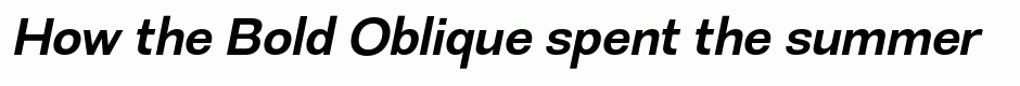 Bold Oblique