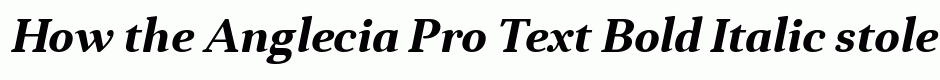 Anglecia Pro Text Bold Italic
