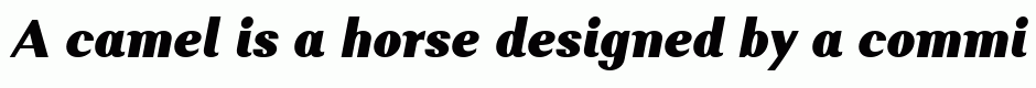 Alethia Pro Black Italic