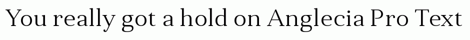Anglecia Pro Text Light