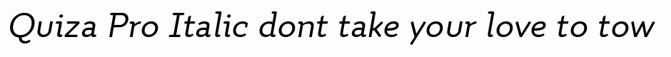 Quiza Pro Italic