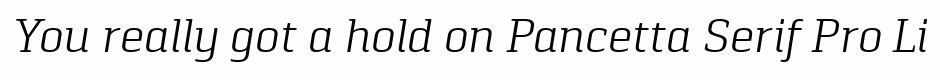 Pancetta Serif Pro Light Italic