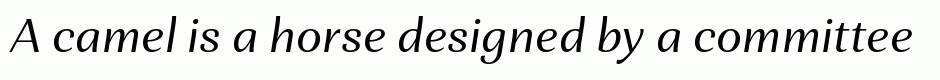 Orchidea Pro Italic