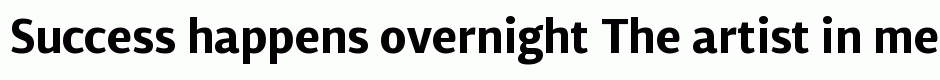 Diaria Sans Pro Bold