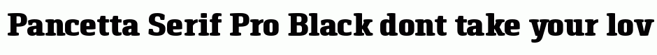 Pancetta Serif Pro Black
