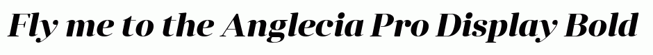 Anglecia Pro Display Bold Italic