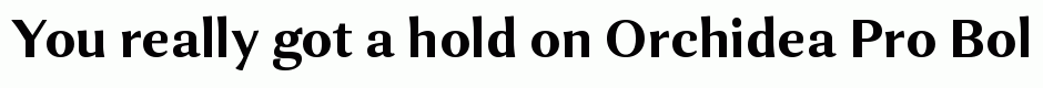 Orchidea Pro Bold