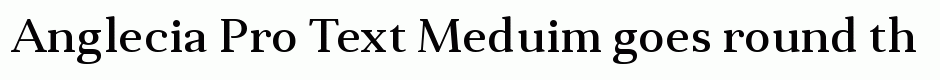 Anglecia Pro Text Meduim