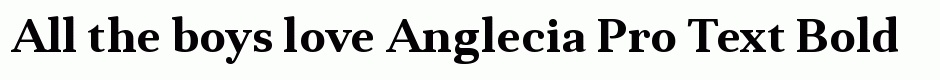 Anglecia Pro Text Bold