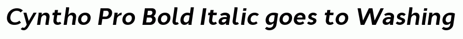Cyntho Pro Bold Italic