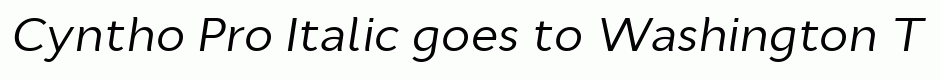 Cyntho Pro Italic