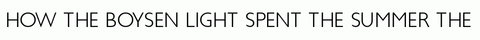 Boysen Light