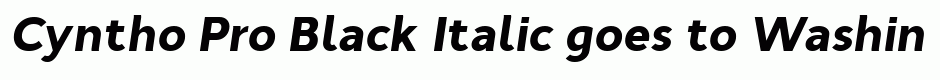 Cyntho Pro Black Italic