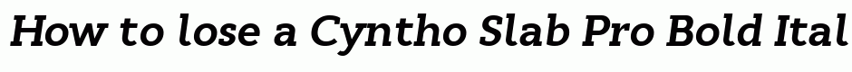Cyntho Slab Pro Bold Italic