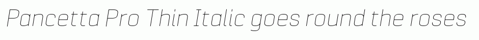 Pancetta Pro Thin Italic