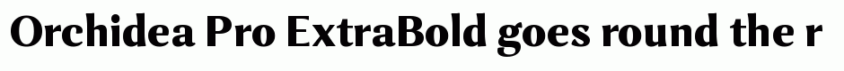 Orchidea Pro ExtraBold