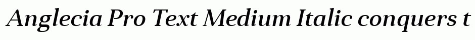 Anglecia Pro Text Medium Italic