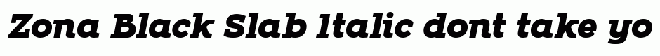 Zona Black Slab Italic