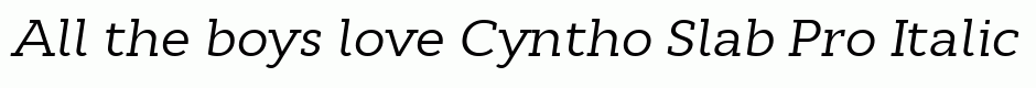 Cyntho Slab Pro Italic