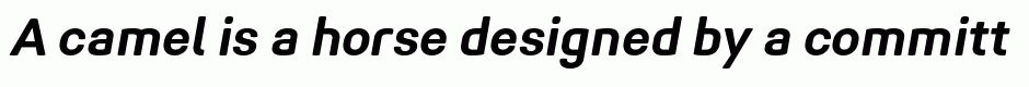 Midpoint Pro Bold Oblique