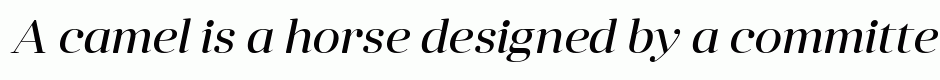 Anglecia Pro Display Italic