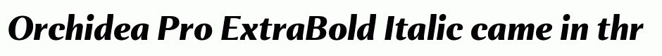 Orchidea Pro ExtraBold Italic