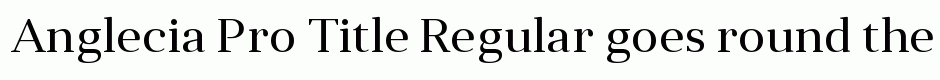 Anglecia Pro Title Regular