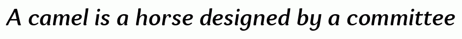 Espuma Pro Medium Italic