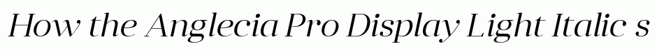 Anglecia Pro Display Light Italic