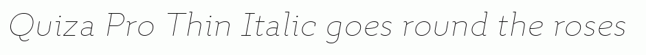 Quiza Pro Thin Italic