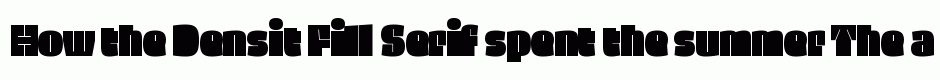 Densit Fill Serif