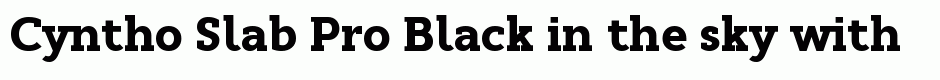 Cyntho Slab Pro Black