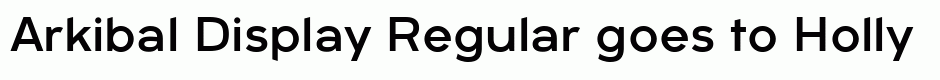 Arkibal Display Regular
