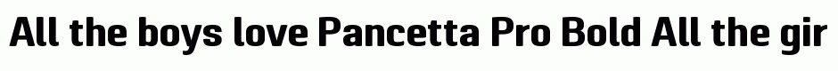 Pancetta Pro Bold