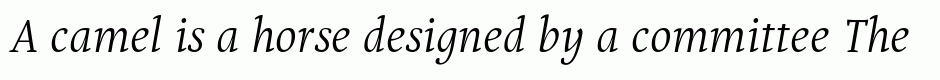Puenta Serif Italic
